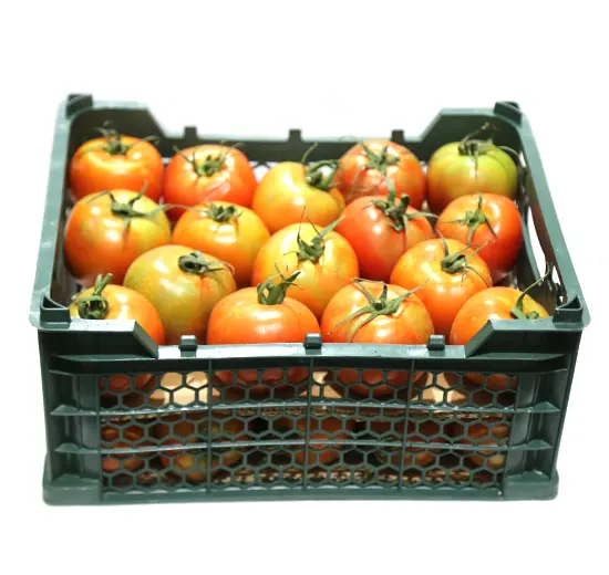 Tomato 5.5kg Iran